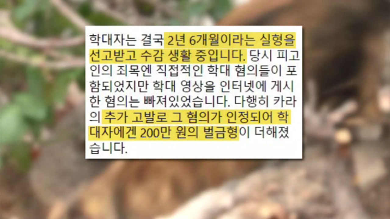 3년 동안 '고양이 학대 영상' 올린 유튜브 채널 폐쇄