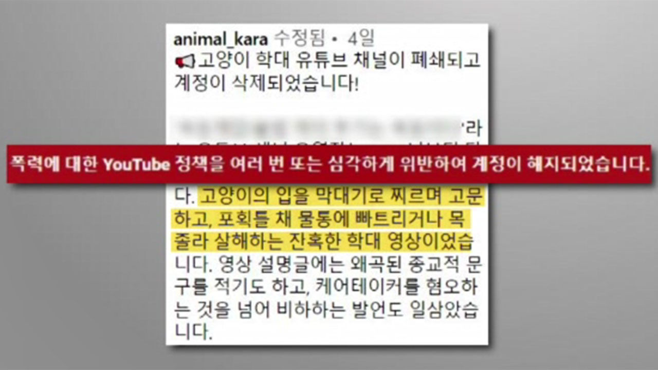 3년 동안 '고양이 학대 영상' 올린 유튜브 채널 폐쇄