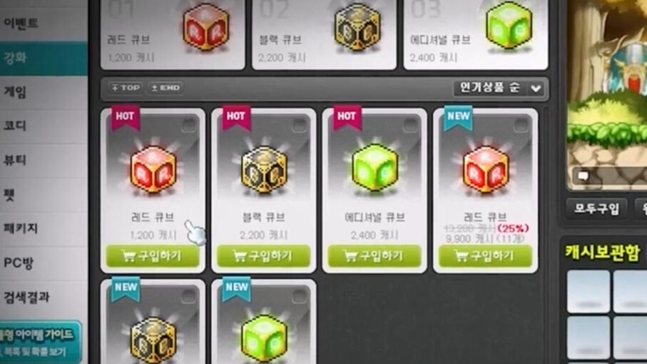 메이플스토리