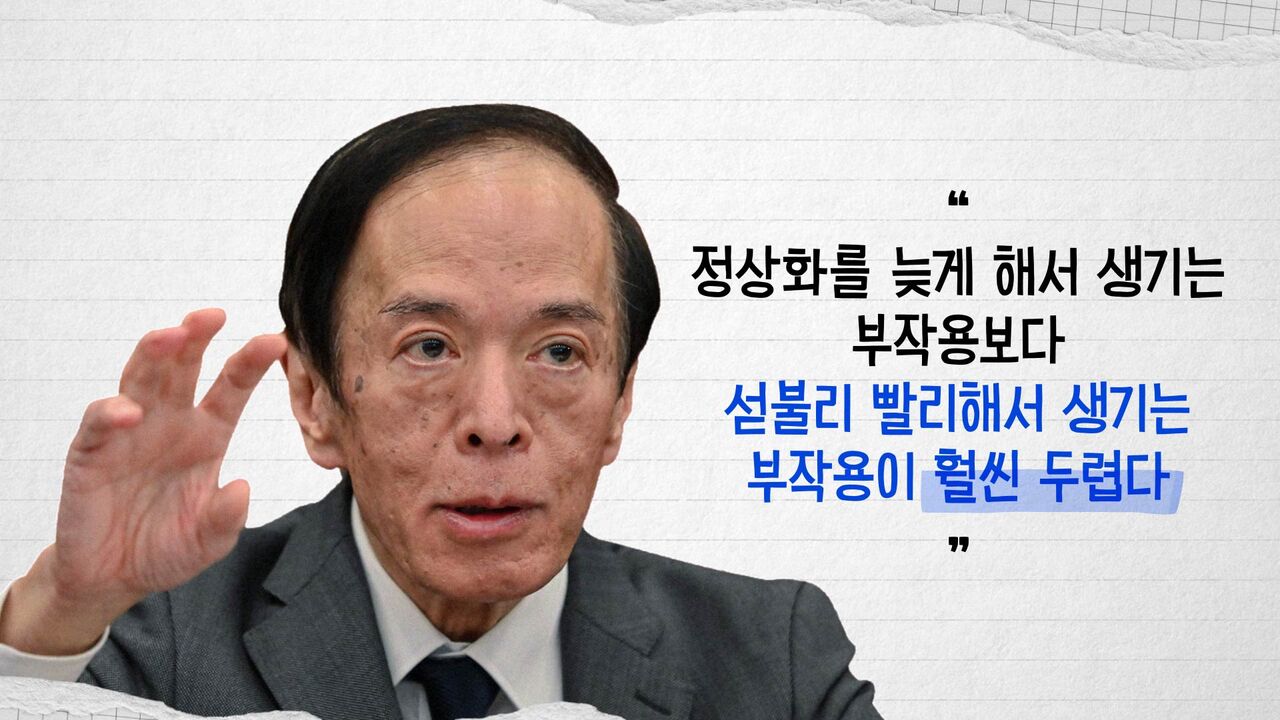 스프 교양이를 부탁해