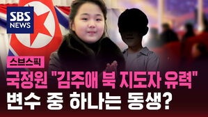 국정원 "김주애 북 지도자 유력" 변수 중 하나는 동생?