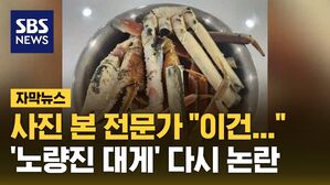 [자막뉴스] '노량진 대게 사건' 영업 정지&hellip;전문가 이견에 다시 '시끌'