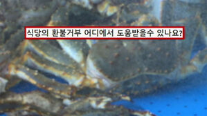 선결제 후 먹지도 못 했는데&hellip;"자리 없다"며 '환불 거부'