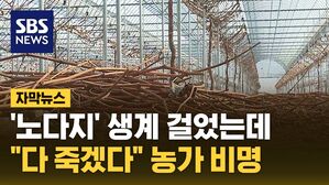 [자막뉴스] '노다지' 생계 걸었는데&hellip;"포기할게요" 눈물