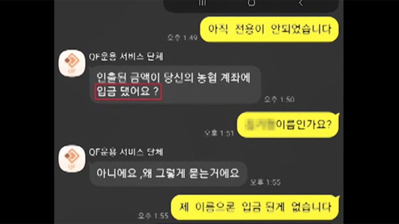 투자 사기 범죄
