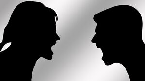 부부싸움 싸움 다툼 (사진=픽사베이)