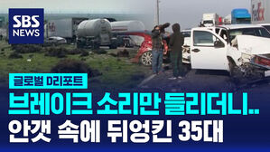 [글로벌D리포트] '짙은 안개'&hellip;캘리포니아 35대 연쇄 추돌