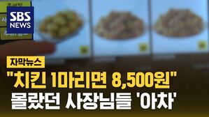 [자막뉴스] 모르고 썼다가 '아차'&hellip;인건비 줄이려다 '폭탄'