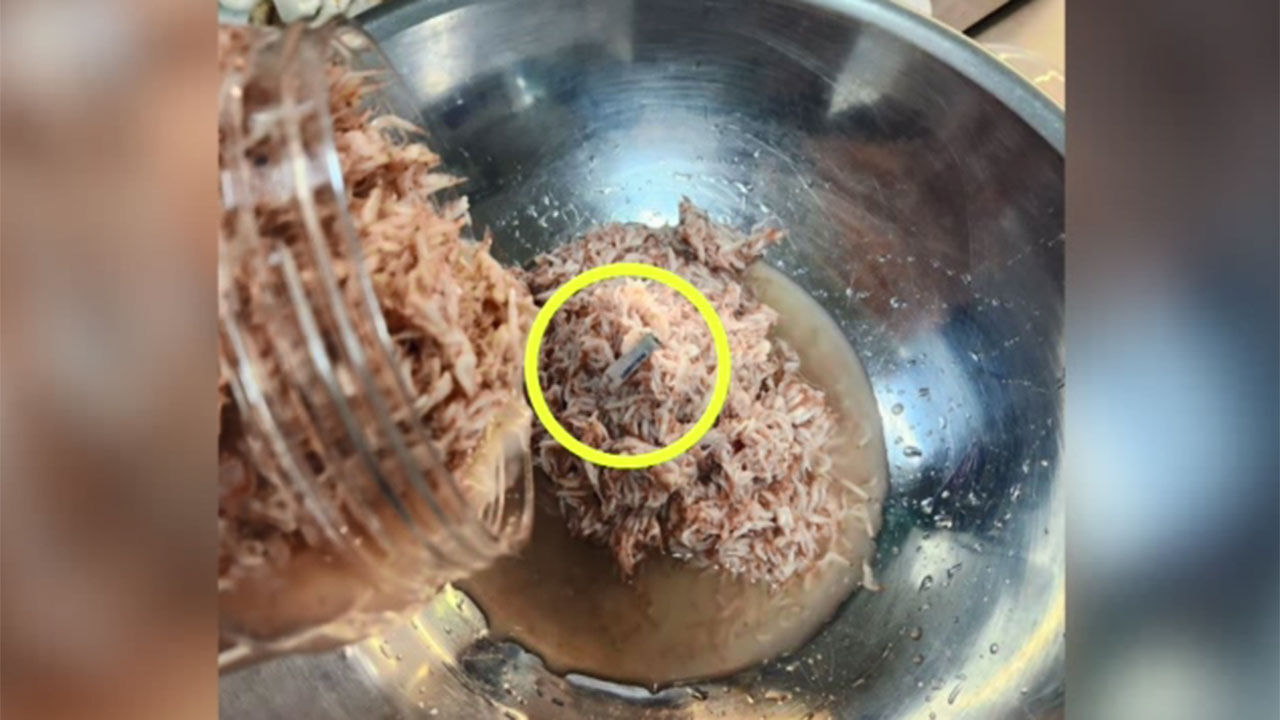 새우젓서 나온 담배꽁초