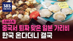 [스브스픽] 중국서 퇴짜 맞은 일본 가리비&hellip;한국 온다더니 결국