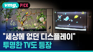 [비머 pick] 세상에 없던 디스플레이...미래 TV는 투명 TV