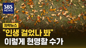 [자막뉴스] "일 잘 하네" 돈 아끼고 환경도 지켰다&hellip;감탄 부른 일 처리