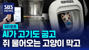 [D리포트] AI가 고기 굽고, 쥐 물어오는 고양이 막고