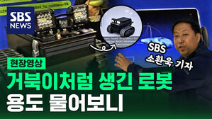 [영상] 거북이처럼 생긴 로봇&hellip;용도 물어보니&hellip;CES 2024