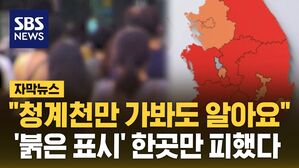 [자막뉴스] "청계천만 가봐도 알아요"&hellip;'붉은 표시' 한곳만 피했다