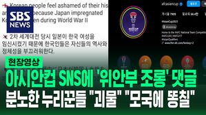 [영상] 선을 넘어 뇌가 일탈했네?  "일본이 한국 여성을 임신 시켜" 위안부 피해자 조롱 댓글에 분노한 누리꾼들 상황