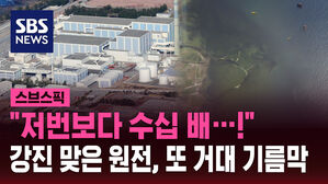 "저번보다 수십 배&hellip;!" 강진 맞은 원전, 또 거대 기름막