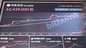 비트코인 현물 ETF, 국내서 투자 위법&hellip;법제도 정비되나