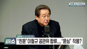 0112 정치쇼 김무성