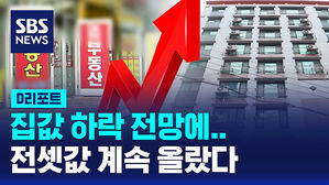 [D리포트] '집값 하락 전망'에 매매 대신 전세?&hellip;전셋값 계속 올라