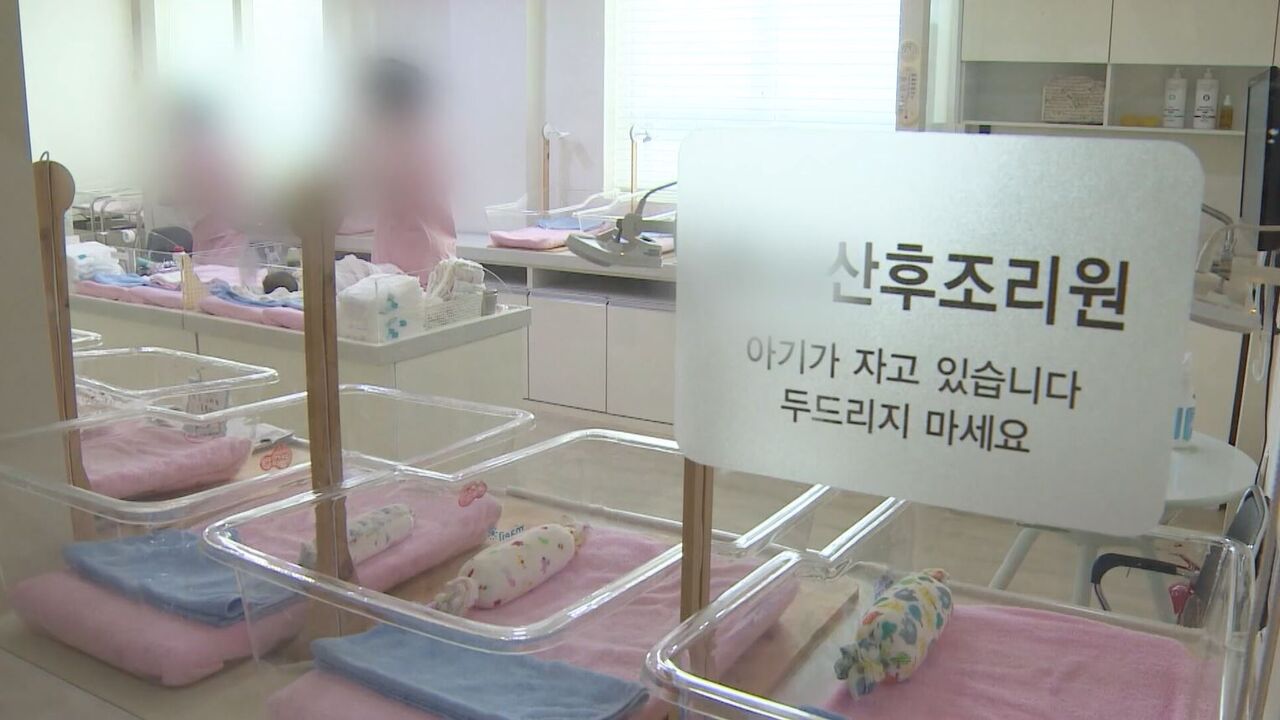 스프 교양이