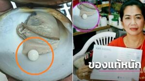 시장에서 사온 조개를 요리해 먹던 중 '멜로 진주'를 발견한 태국인 와사나 씨(53). (사진=더 타이거 캡처)