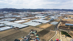 용인 산단에 반도체 제조공장 5기→6기 배치&hellip;2030년 첫 가동