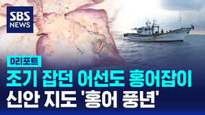 [D리포트] "조기 잡던 어선도 홍어 잡아요"&hellip;신안 지도 '홍어 풍년'