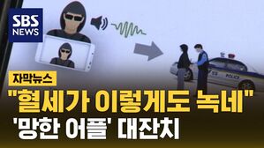 [자막뉴스] "혈세가 이렇게도 녹네"&hellip;'망한 어플' 대잔치