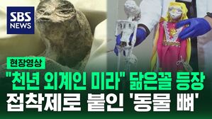 [영상] "외계인 미라" 등장에 세계가 떠들썩했었는데&hellip;결과에 또 한 번 발칵?