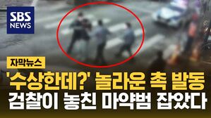 [자막뉴스] 왼쪽 손목 보고 '확신'&hellip;몸 날려 마약범 잡은 시민