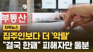 [자막뉴스] 돈 안 들이고 '빌라 12채'&hellip;뒤에서 조장한 공인중개사