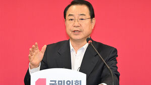 국민의힘 공관위원장 "한동훈 '김경율 마포을' 발언, 절차적 오버한 면도"