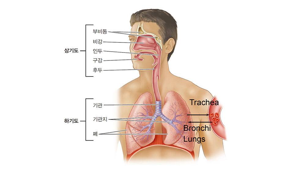 출처 : BROCK의 미생물학
