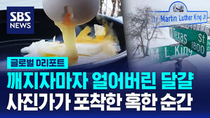 [글로벌D리포트] 사진작가가 포착한 혹한 순간