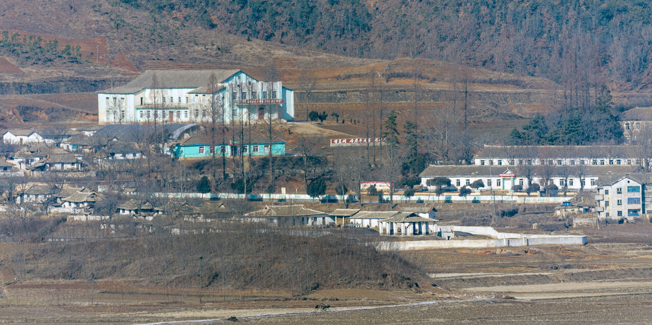 스프 딥빽