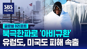 북극한파로 '아비규환' 유럽도, 미국도 피해 속출