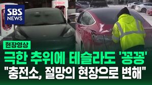 [영상] "롤러코스터를 타는 것 같았다" 극한 추위에 방전되고, 끌려가고 테슬라도 '꽁꽁'