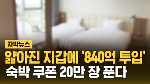 [자막뉴스] 할인 지원에 무이자 할부까지&hellip;'역대 최대' 규모