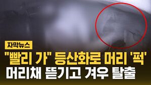 [자막뉴스] 얼굴 향한 '막무가내 폭행'&hellip;트라우마로 남은 그날