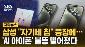 [자막뉴스] 삼성 "자기네 칩" 등장에&hellip;'AI 아이폰' 불똥 떨어졌다