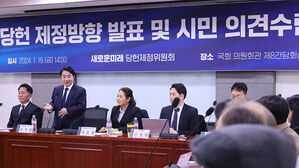 새로운미래 "레드팀 &middot; 집단체제로 당 대표 전횡 막겠다"