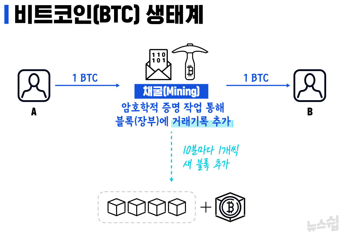 스프 뉴스쉽
