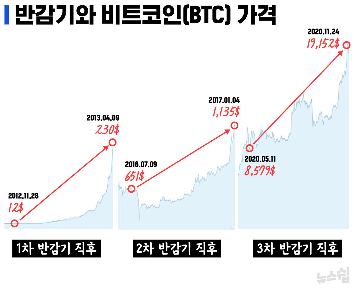 스프 뉴스쉽