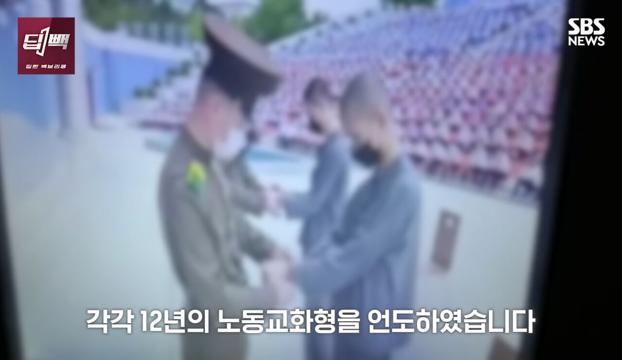 딥빽