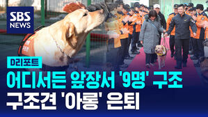 [D리포트] 어디서든 앞장서 '9명' 구조&hellip;구조견 '아롱' 은퇴