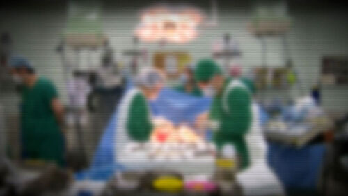 "나이 들어 뒤처져 보일라"…미 IT업계 남성에게 부는 성형바람