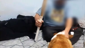 [뉴스딱] 생중계하며 "해부하겠다"&hellip;유튜버 동물 학대 논란
