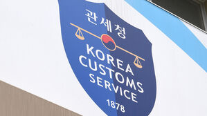 '뻥튀기' 세관 신고해놓고 고급 실버카?&hellip;36억 보험재정 가로채