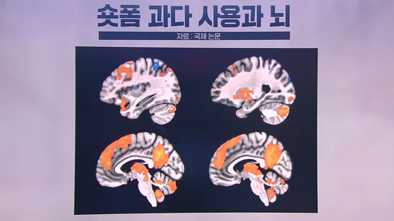 주간조동찬
